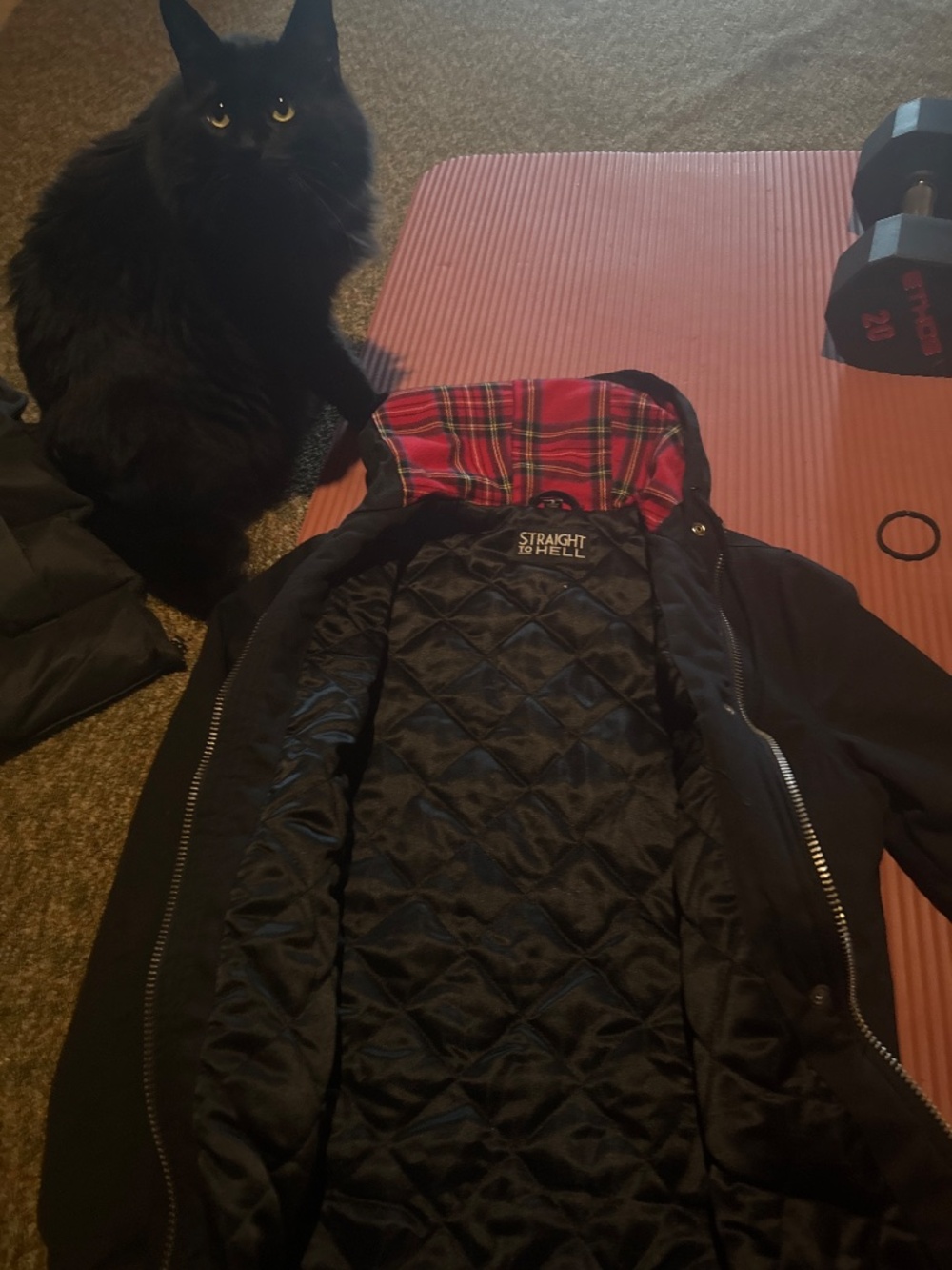 Long jacket - Picture 2 of 2